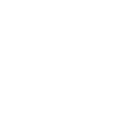 IVR Developments and Customizations